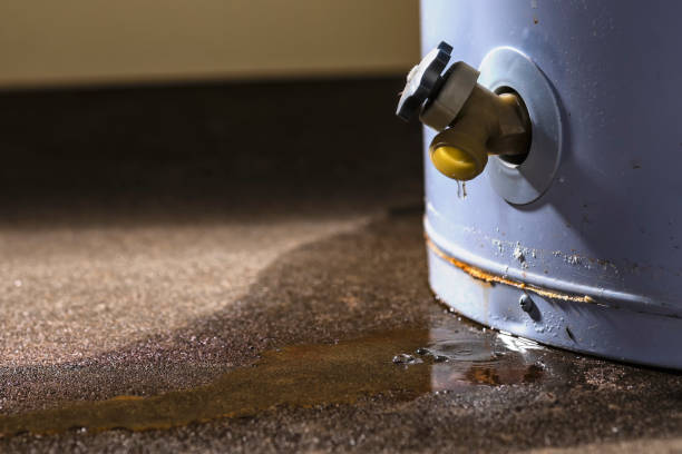 Best Carpet water damage restoration  in Drew, MS