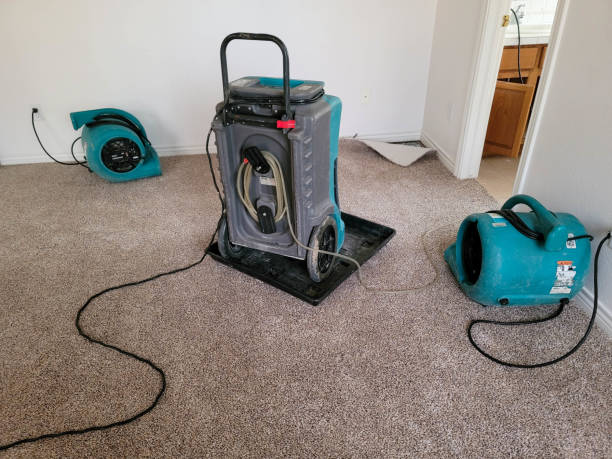 Best Flooded house restoration  in Drew, MS