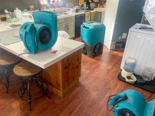 Best Mold removal after water damage  in Drew, MS
