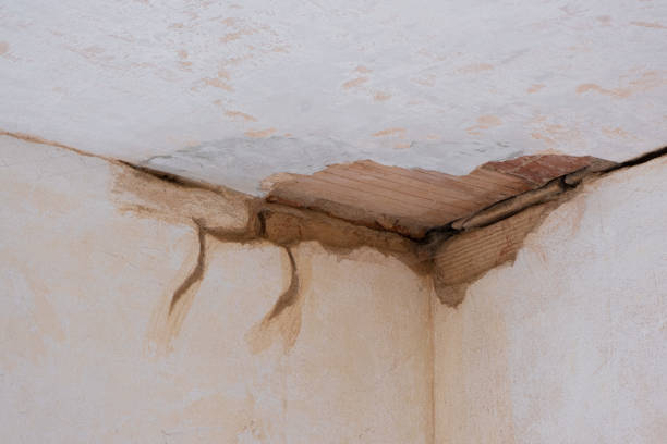Best Water damage restoration specialists  in Drew, MS