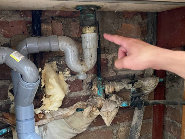 Best 24/7 water damage repair  in Drew, MS