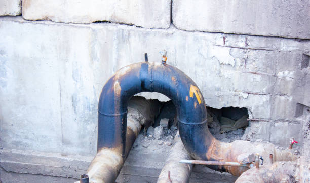 Best Ceiling water damage repair  in Drew, MS