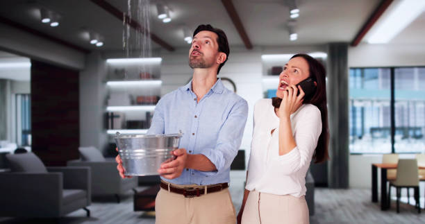 Best Flood damage cleanup  in Drew, MS